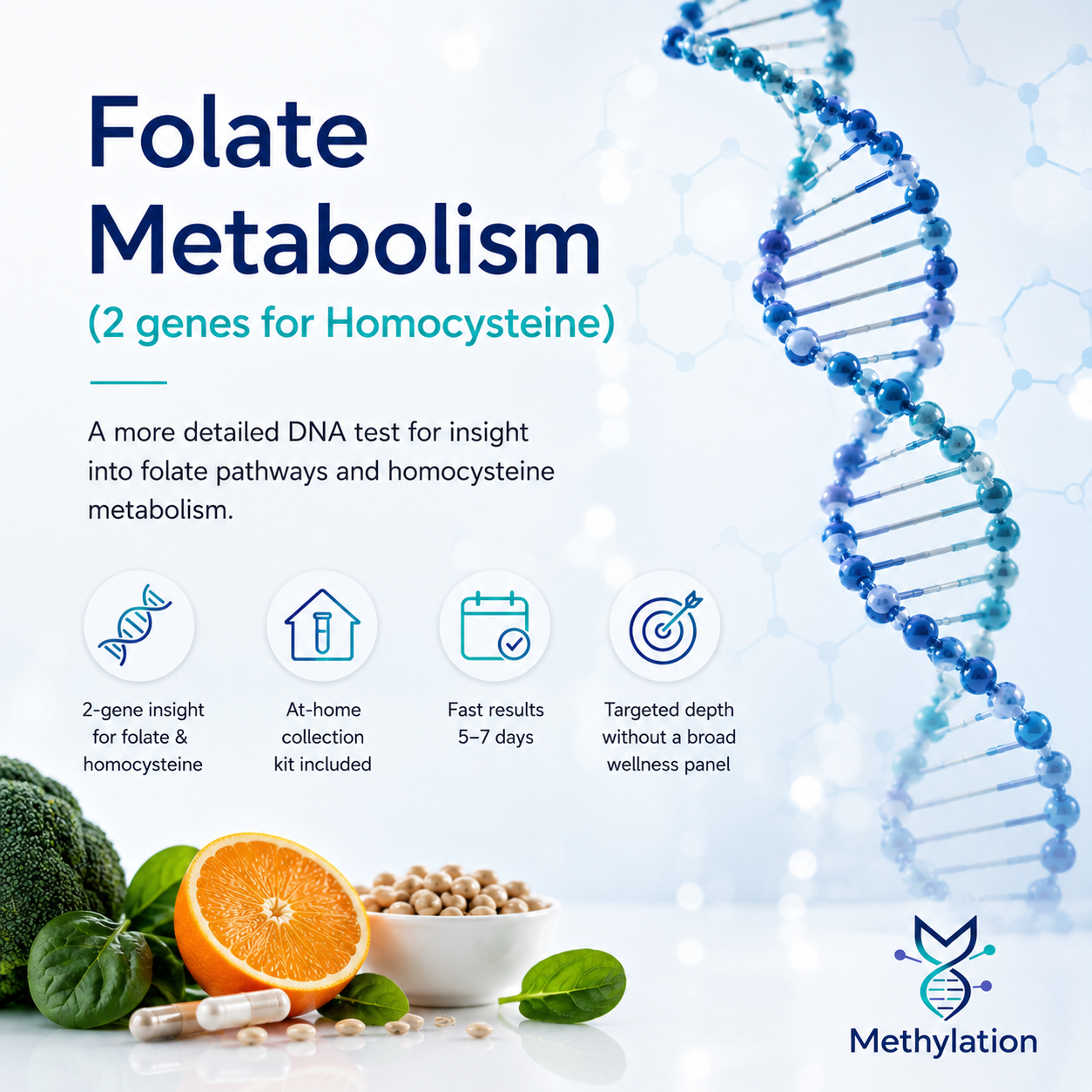 Folate metabolism test in USA 2 gene